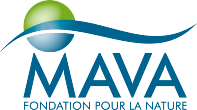 MAVA Logo