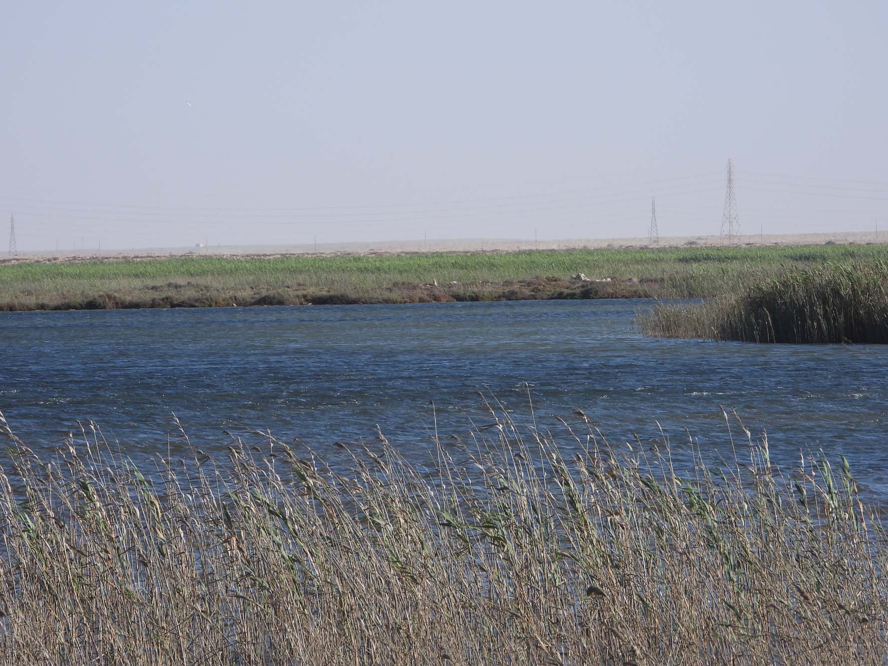 Azla Island 2
