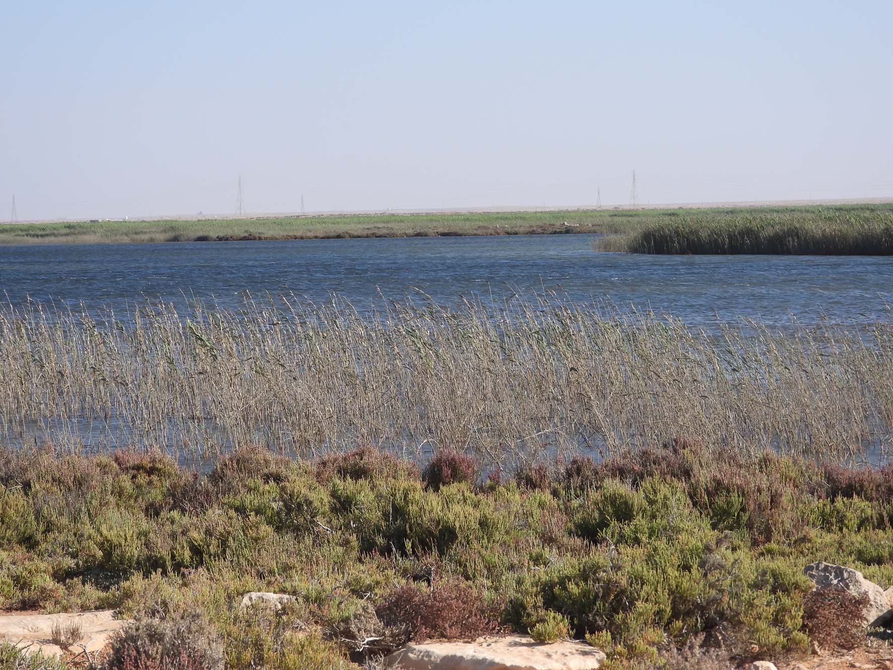 Azla Island 3