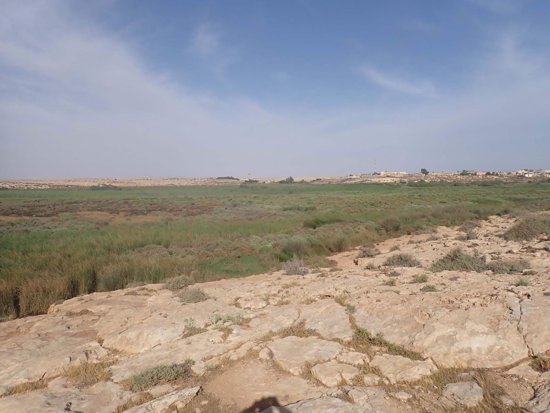 Main Wadi Outlet 1