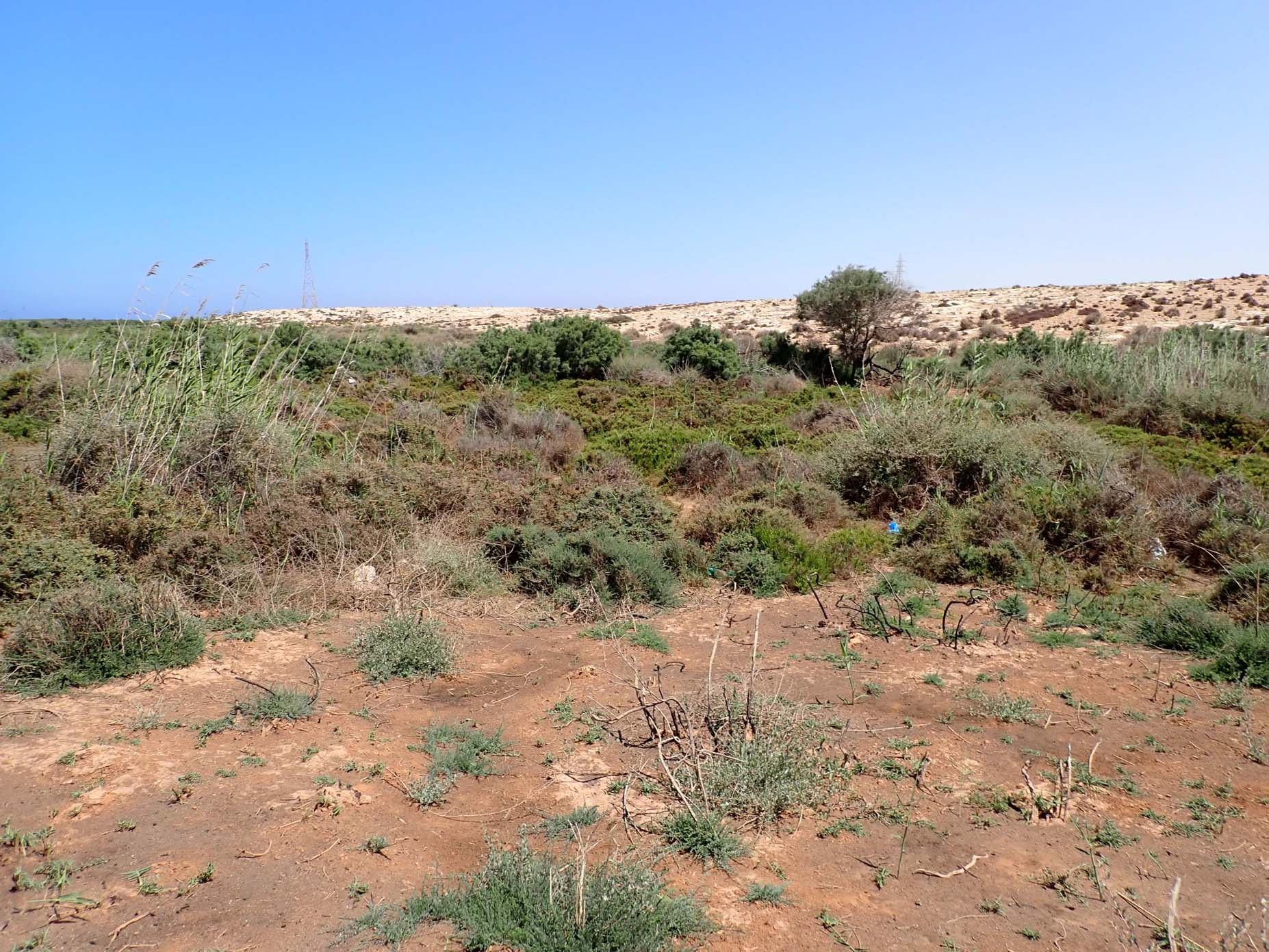 Main Wadi Outlet 2