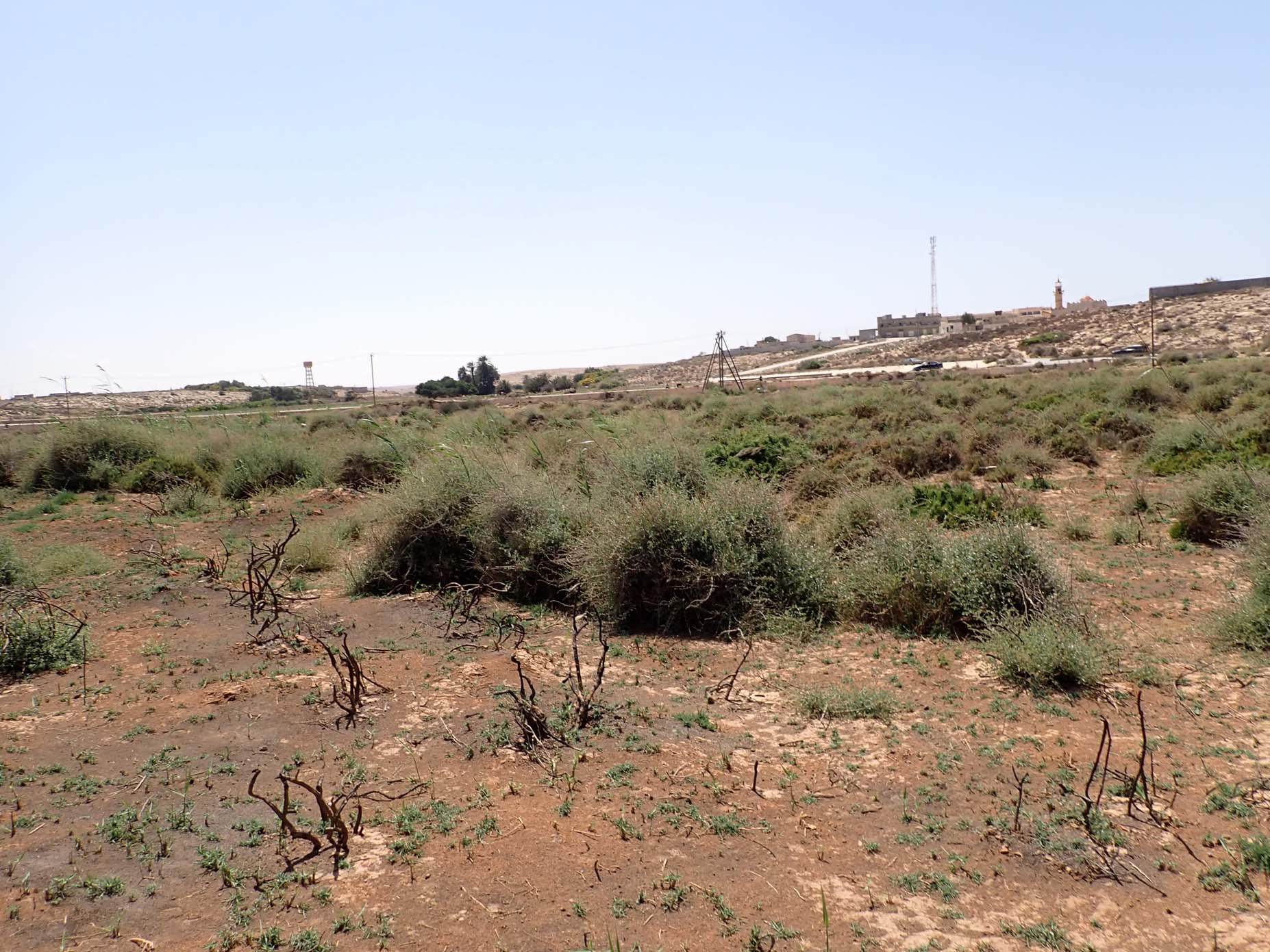 Main Wadi Outlet 3