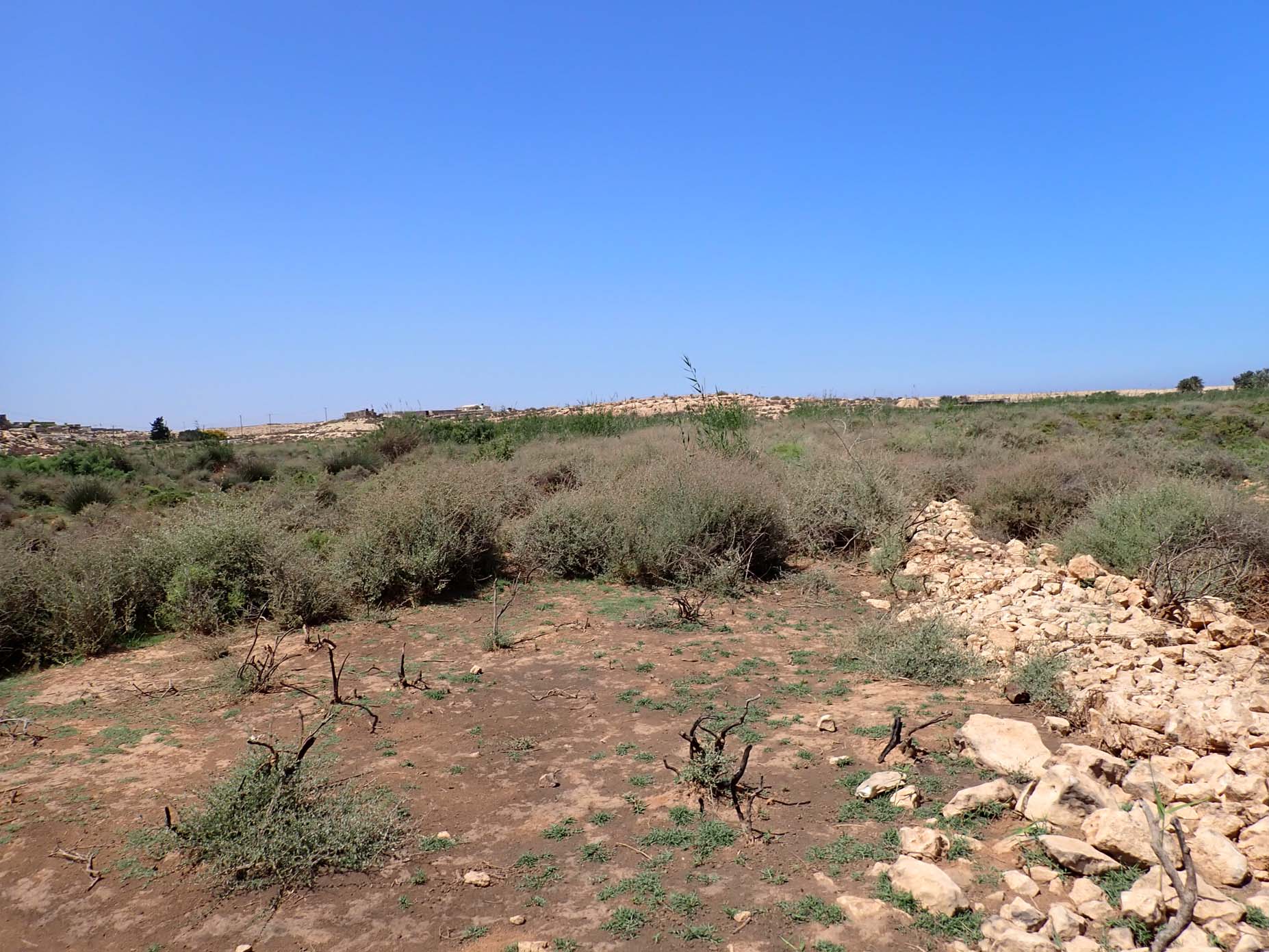 Main Wadi Outlet 4