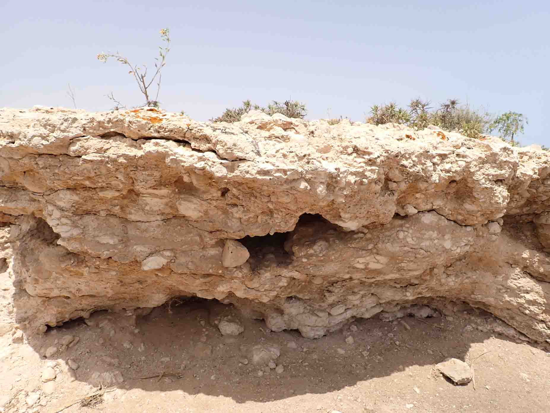 Quaternary Deposits 1