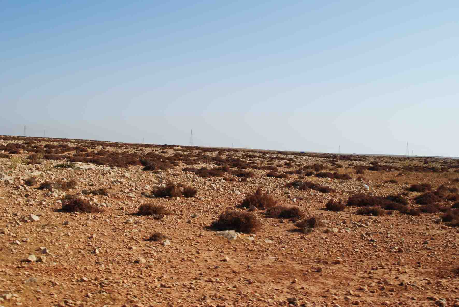 Quaternary Deposits 2