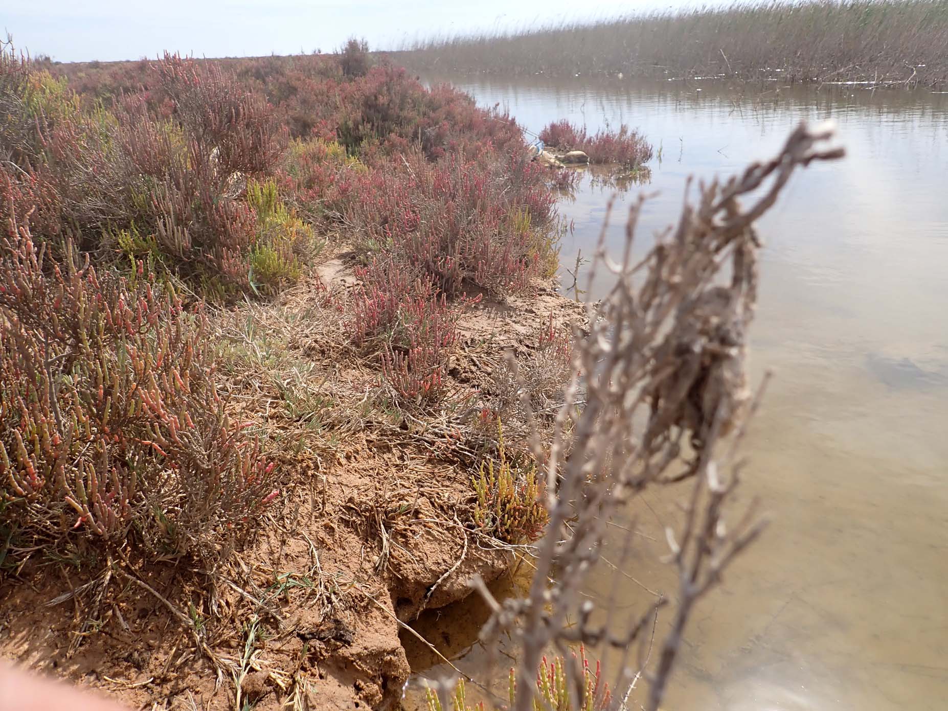 Quaternary Deposits 3