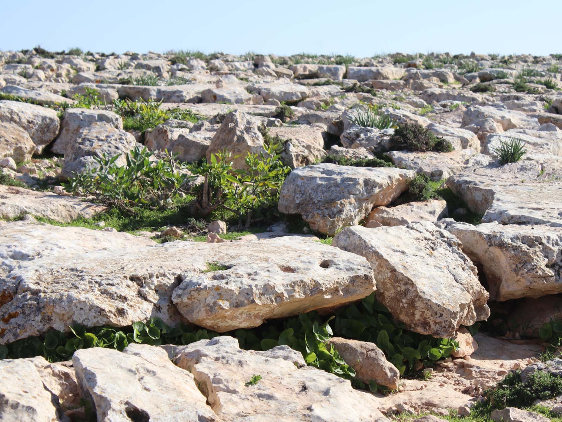 Rocky Hills 4