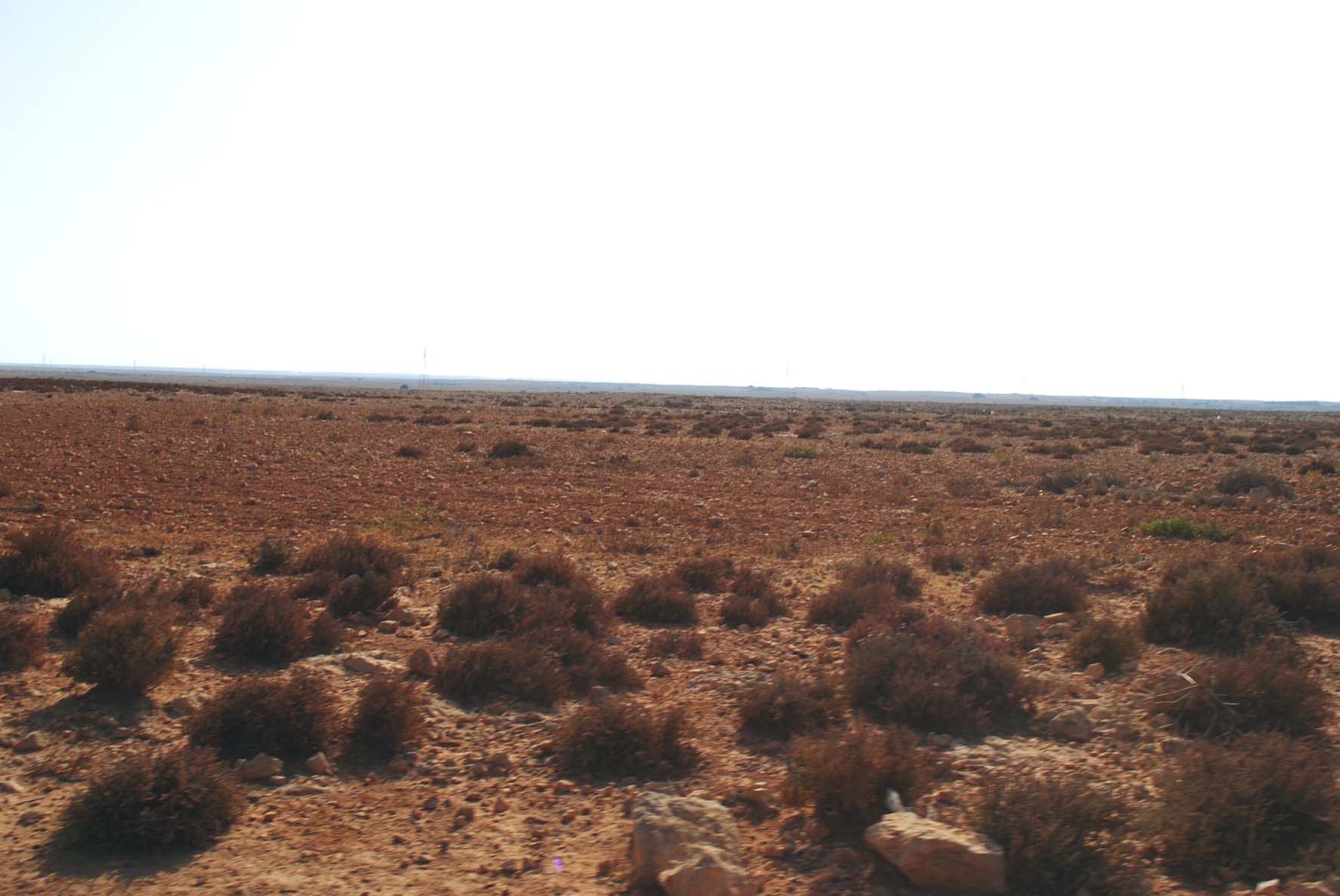 Rock Hills Plain 1