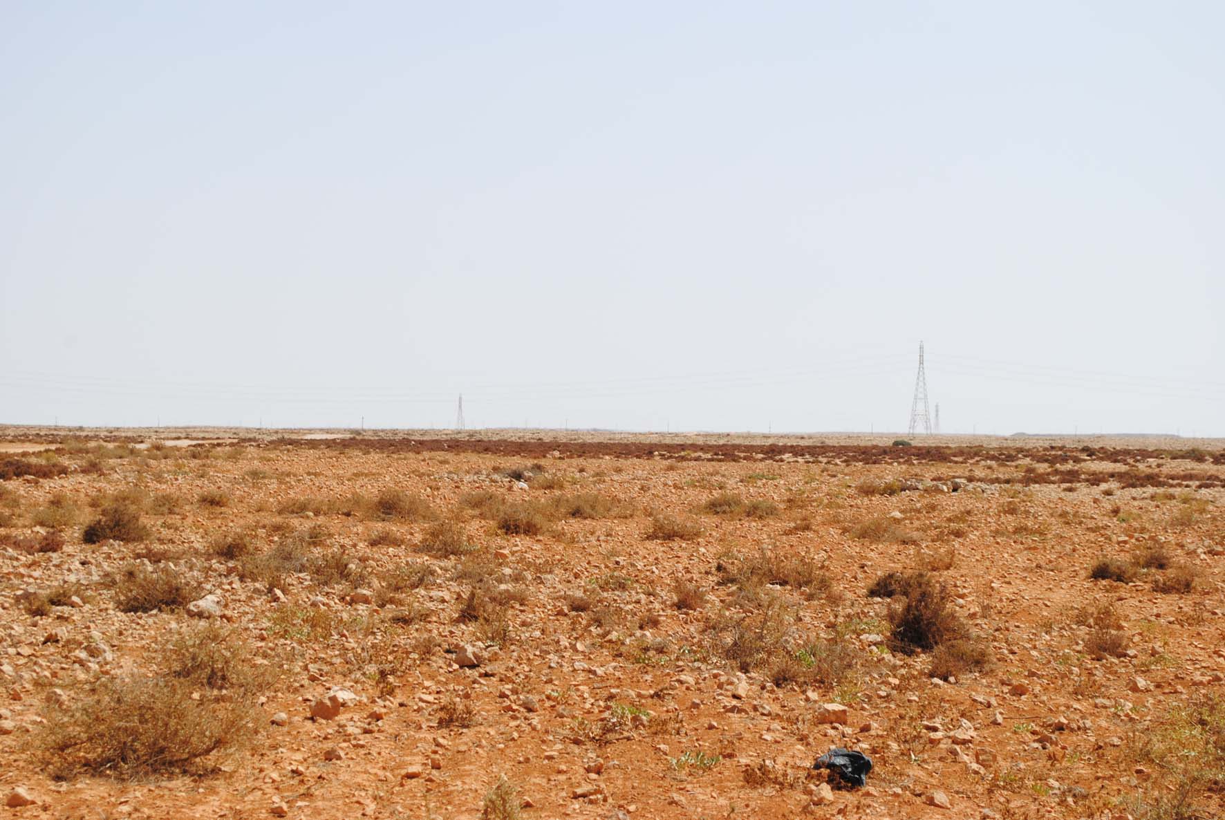 Rock Hills Plain 3