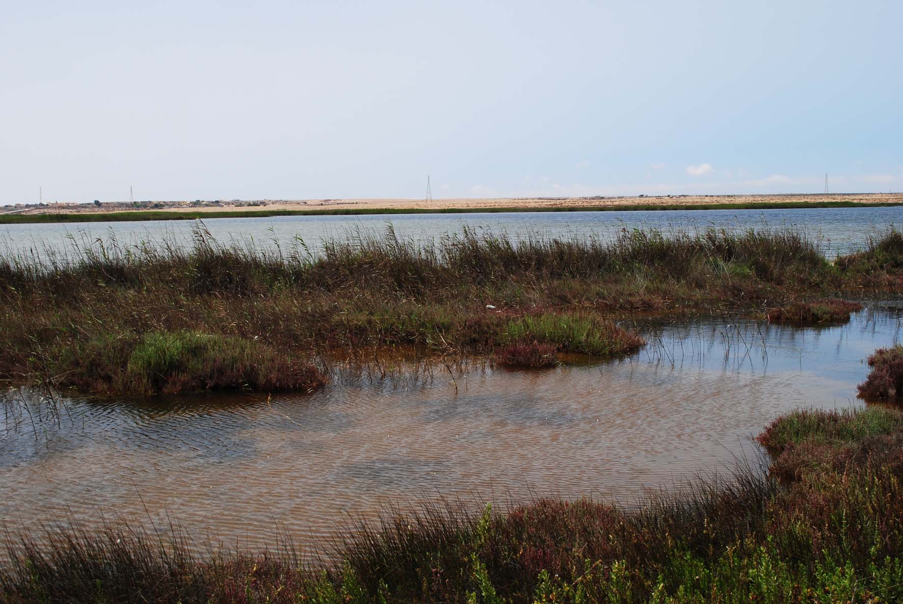 Saline Water Ponds 1