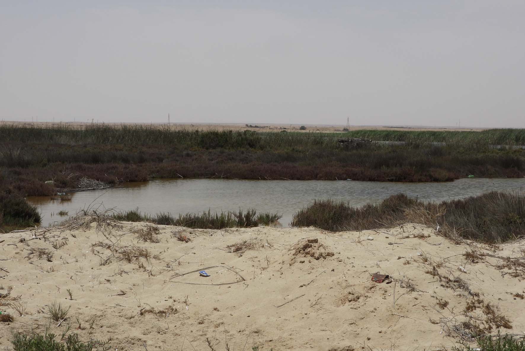 Saline Water Ponds 3