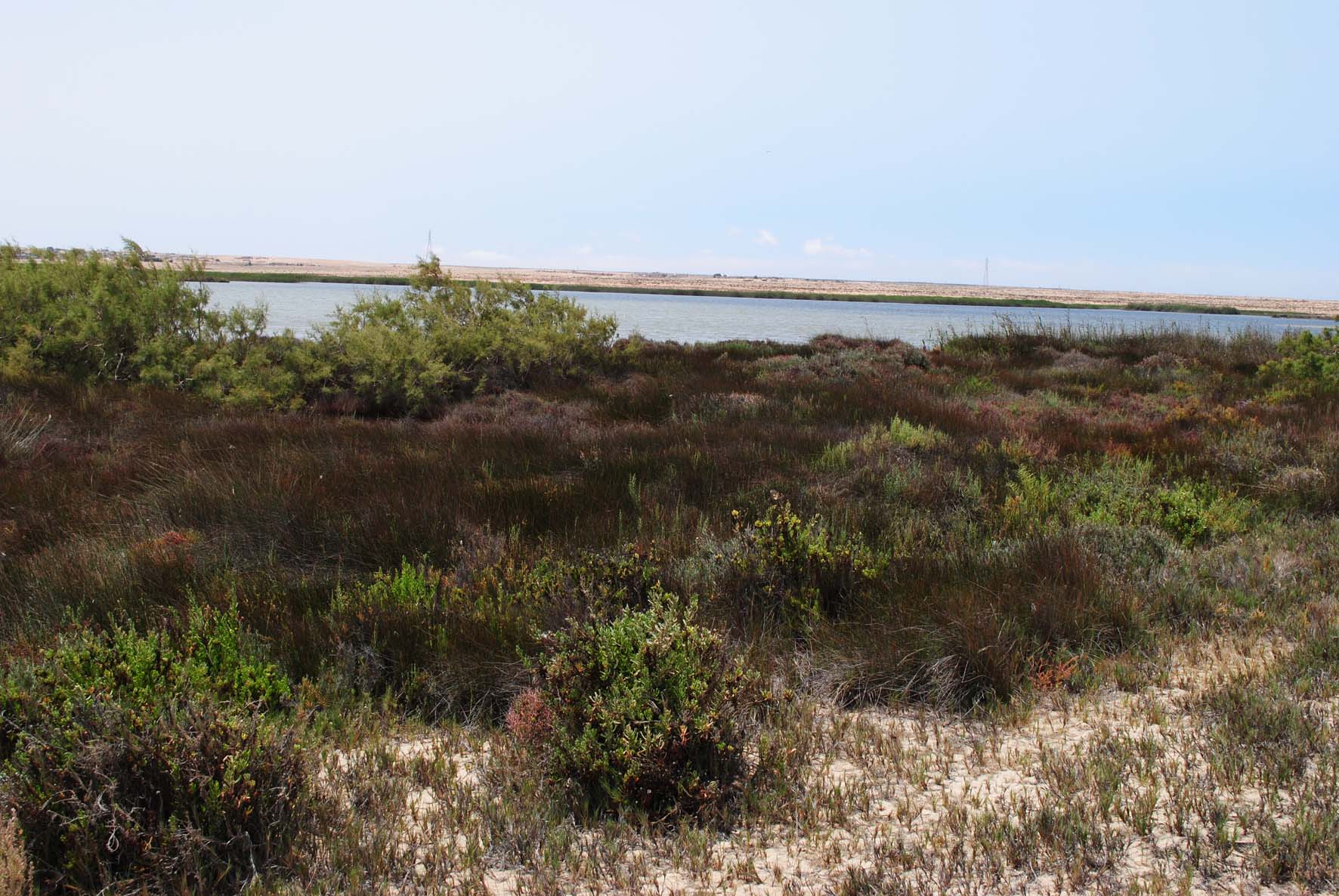 Sea Barrier 1