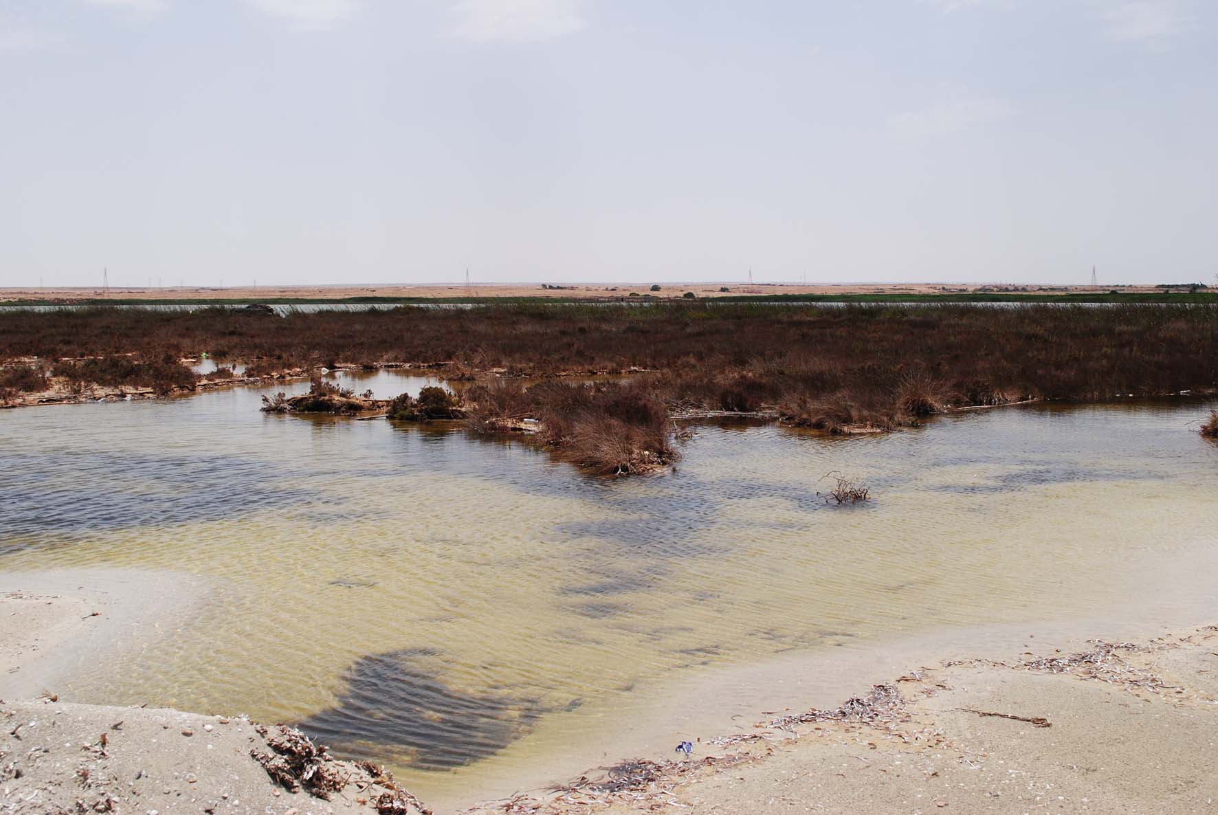 Sea Barrier 2