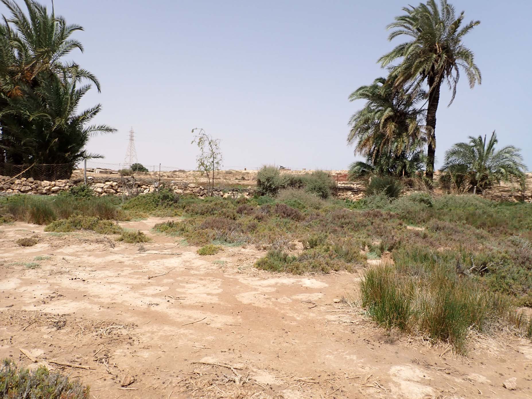 Small Wadi Watershed 3