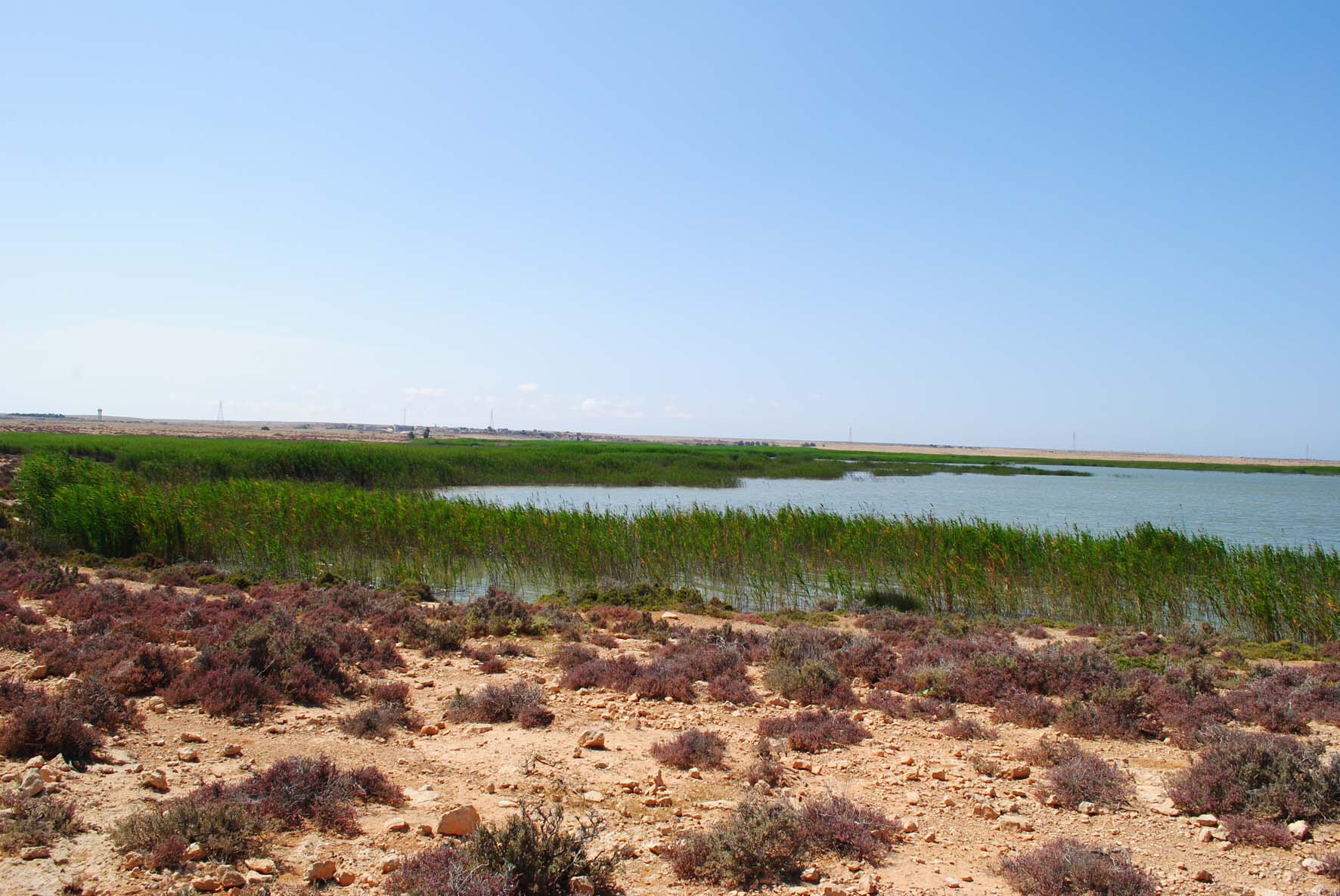 Umm Hufayn Lake 2