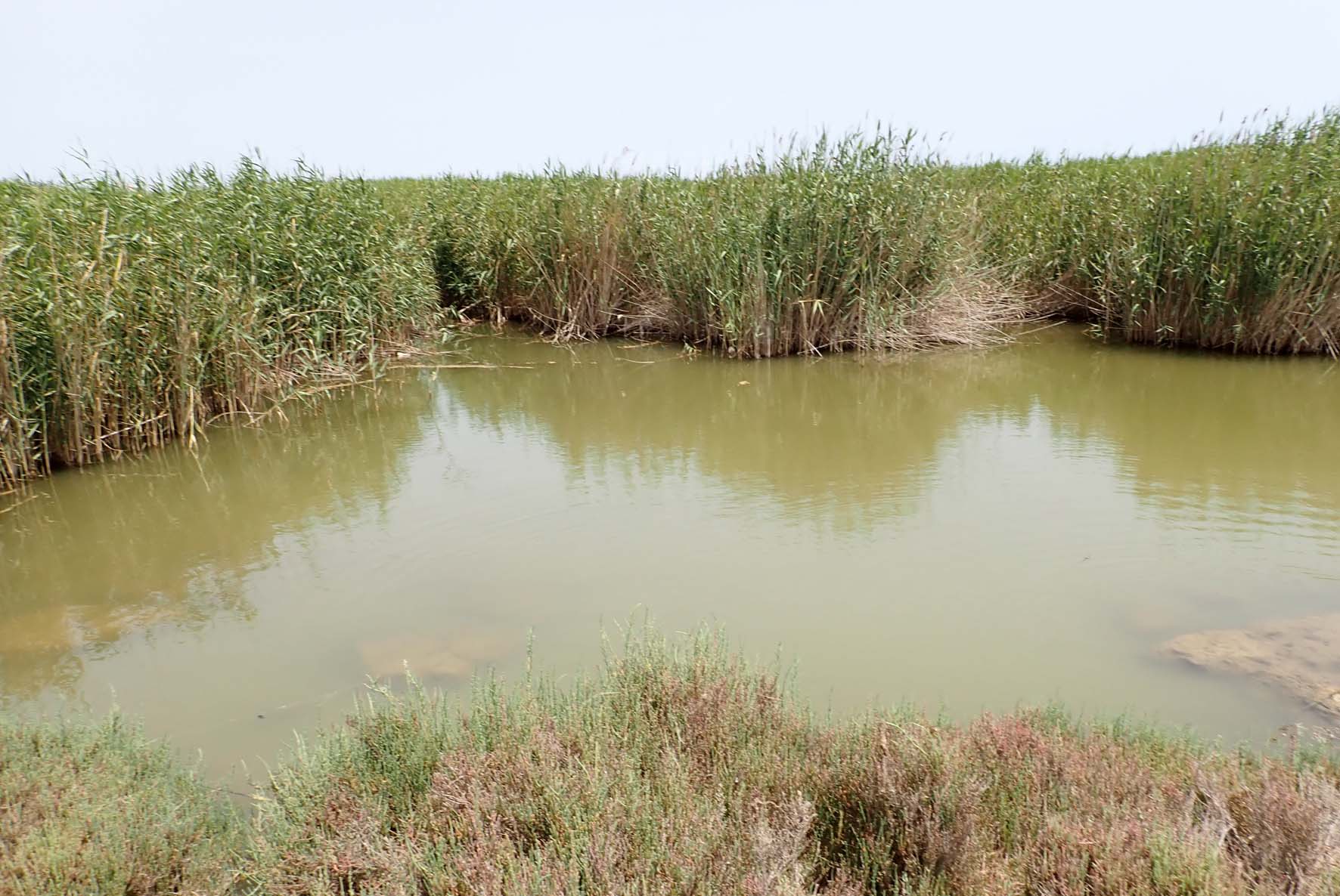 Umm Hufayn Lake 3
