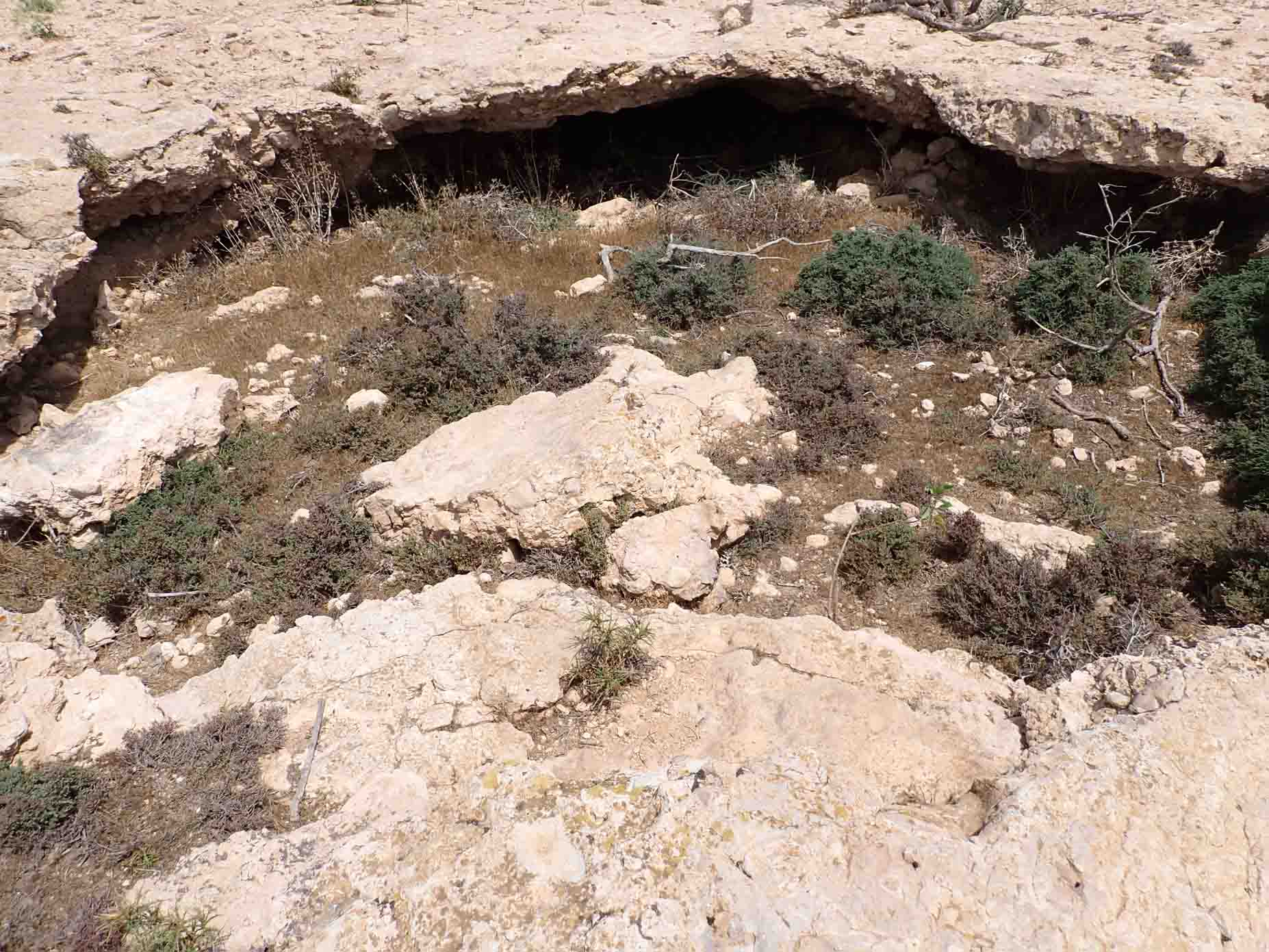 Upper Oligocene-Lower Miocene 1