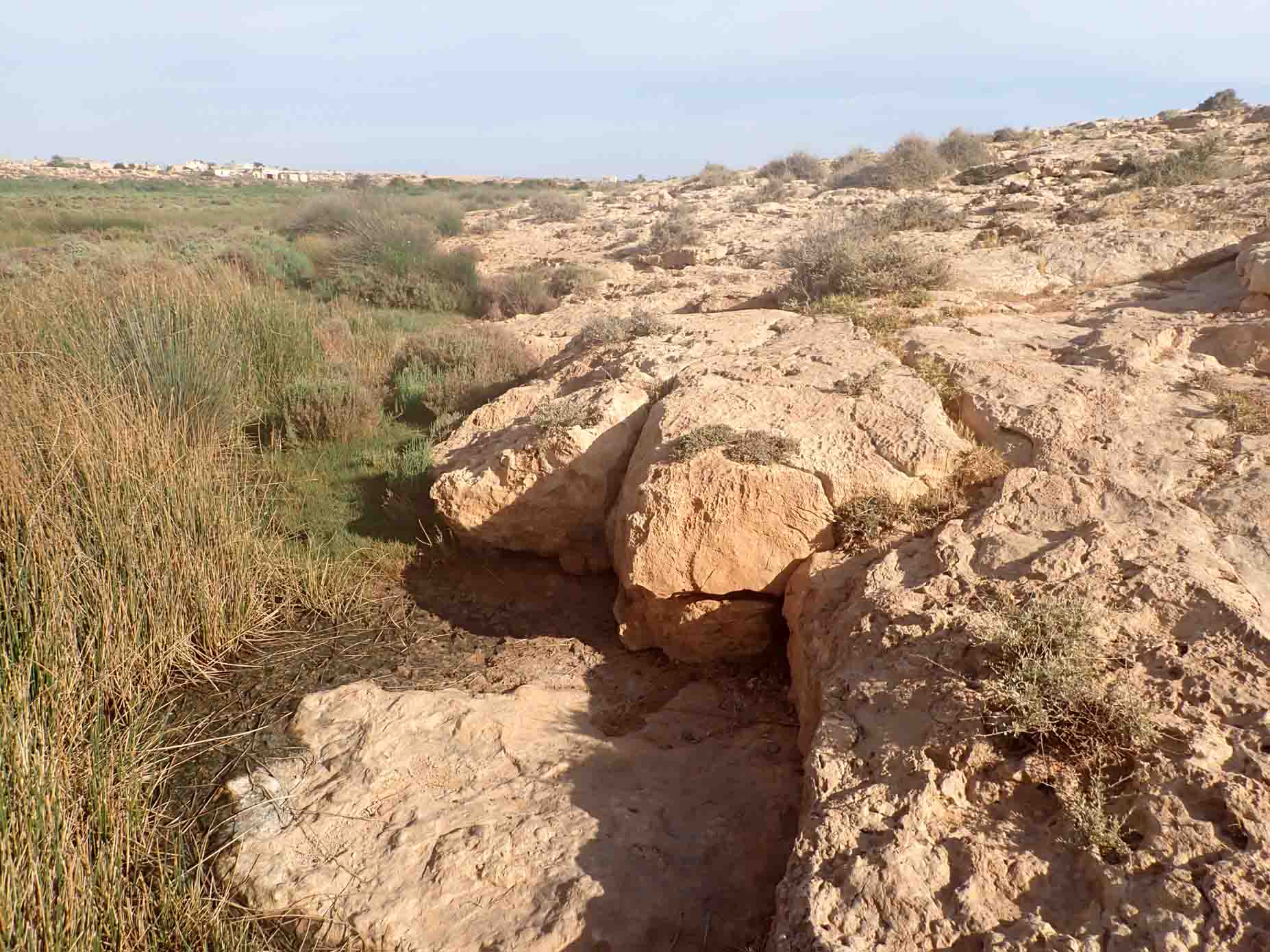 Upper Oligocene-Lower Miocene 3
