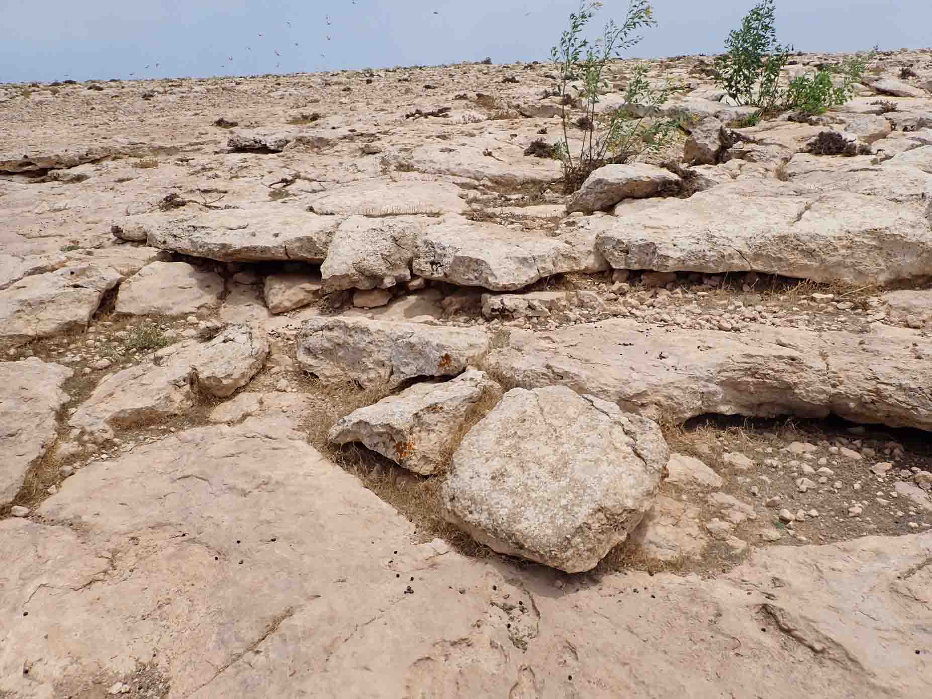 Upper Oligocene-Lower Miocene 4