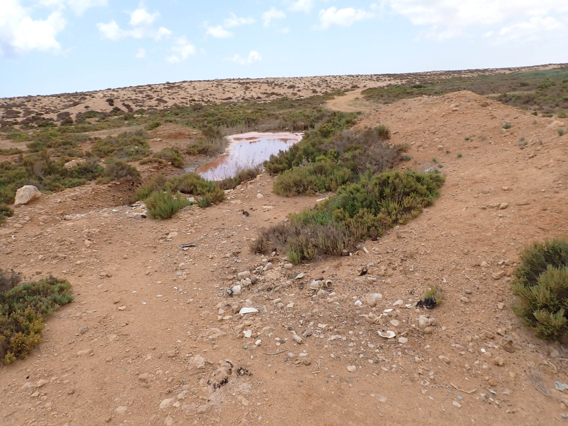 Brackish Water Ponds 3