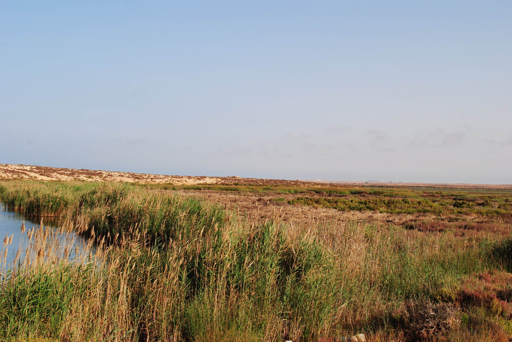 Burdi Swamps 4