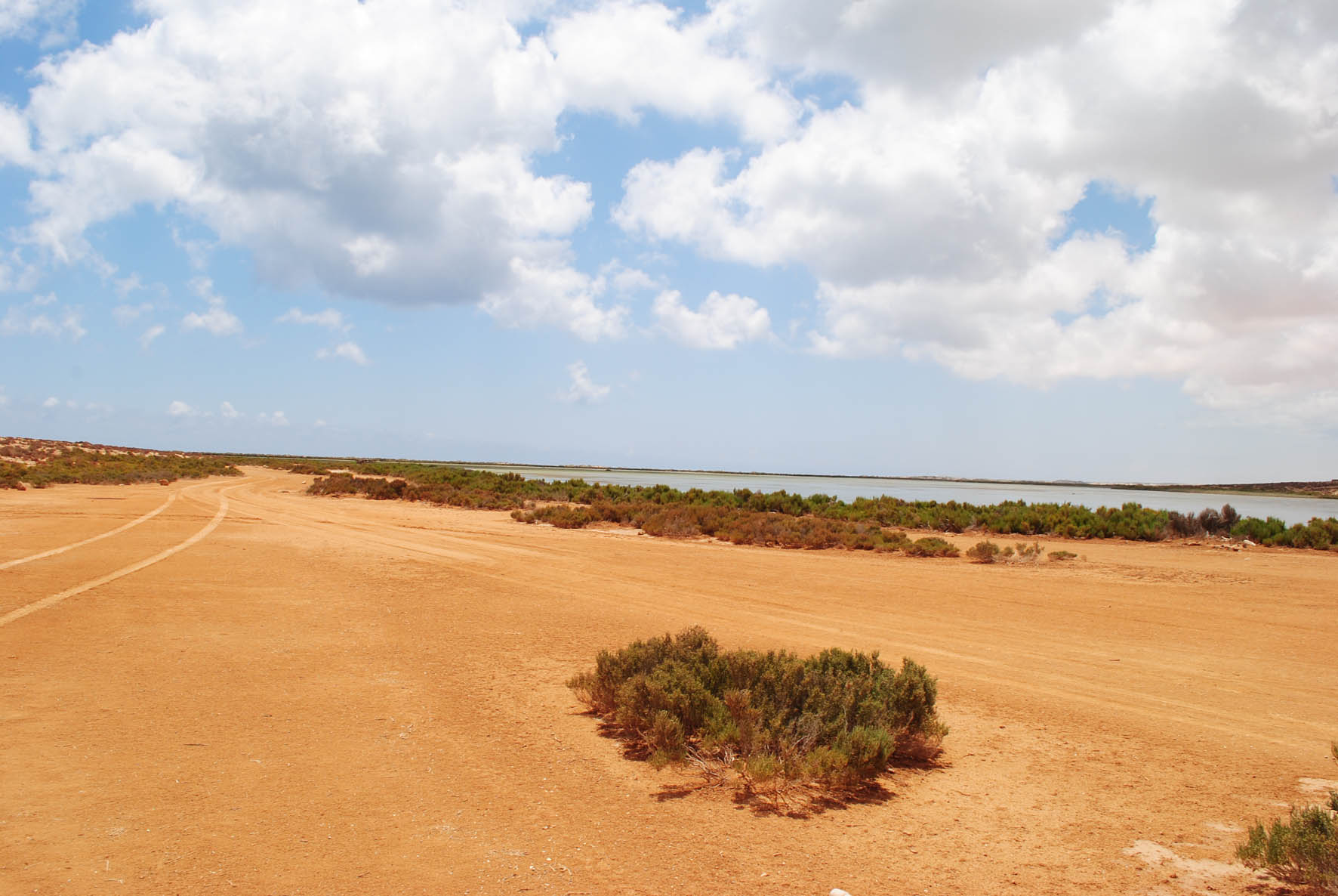Flood Banks 4