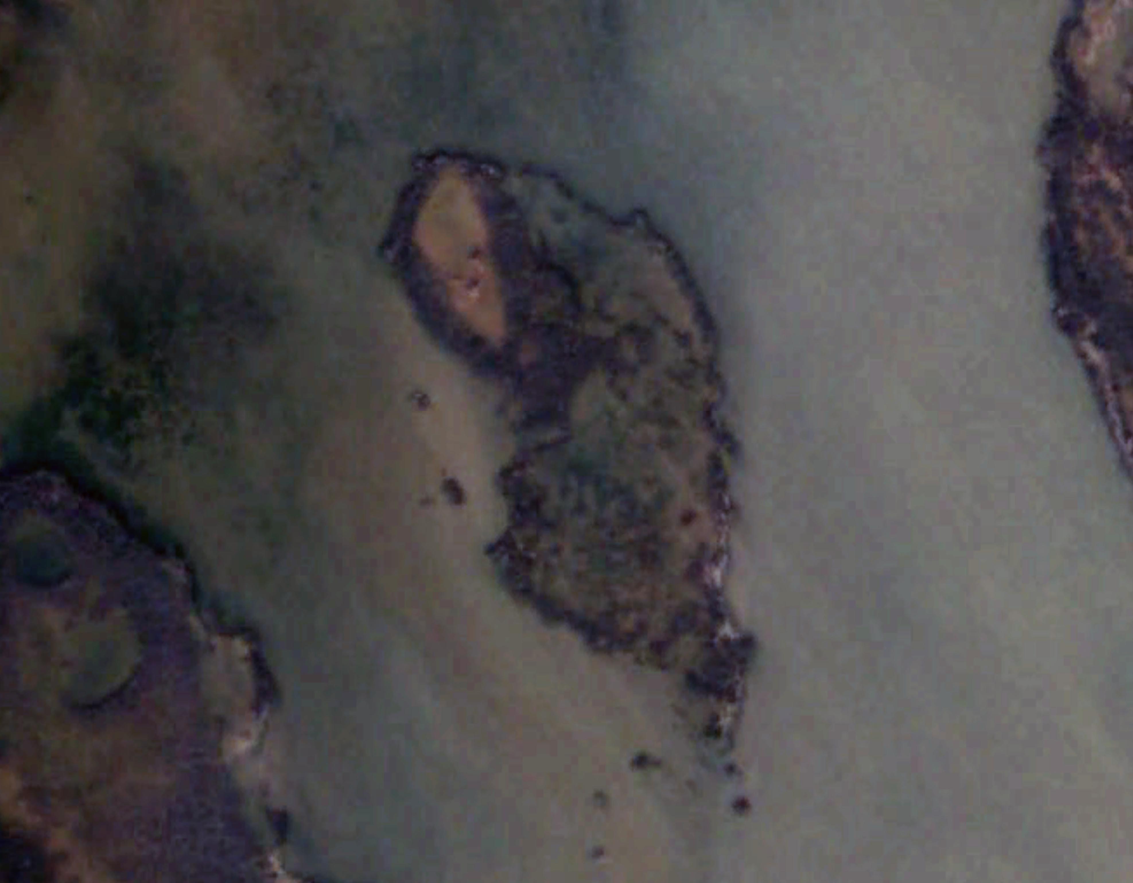 Island 3