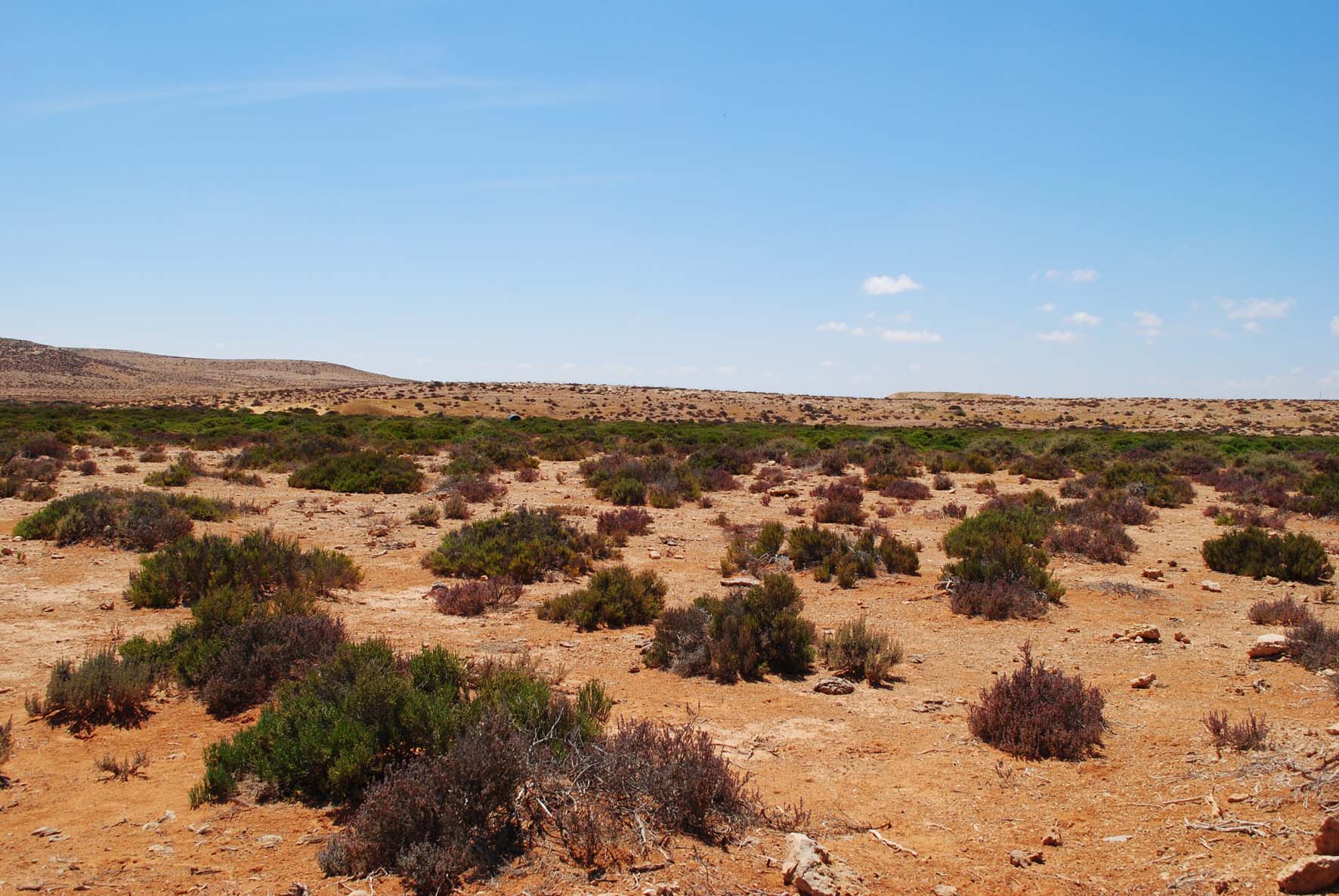 Main Wadi Outlet 4