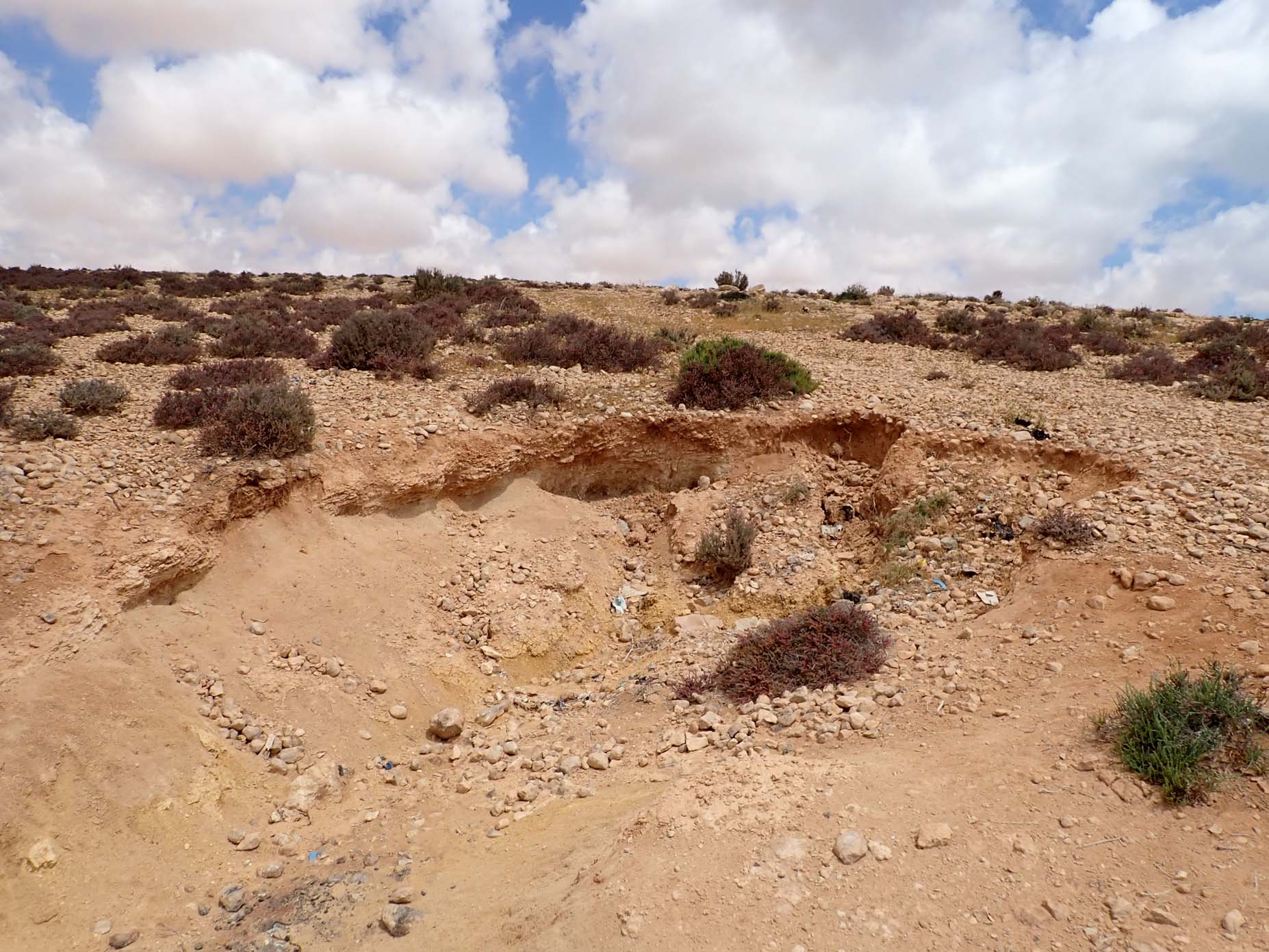 Quaternary Deposits 1