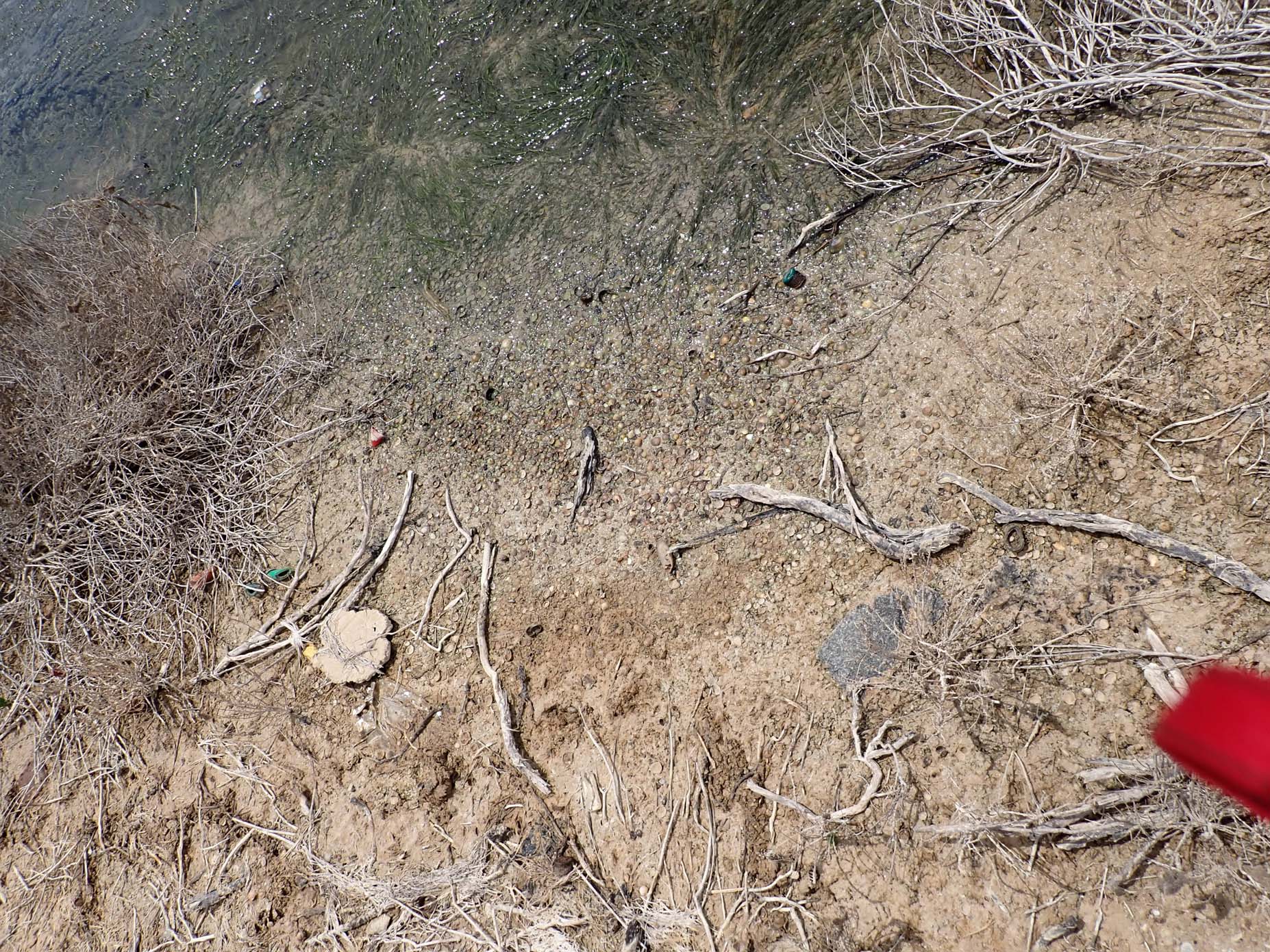 Quaternary Deposits 2