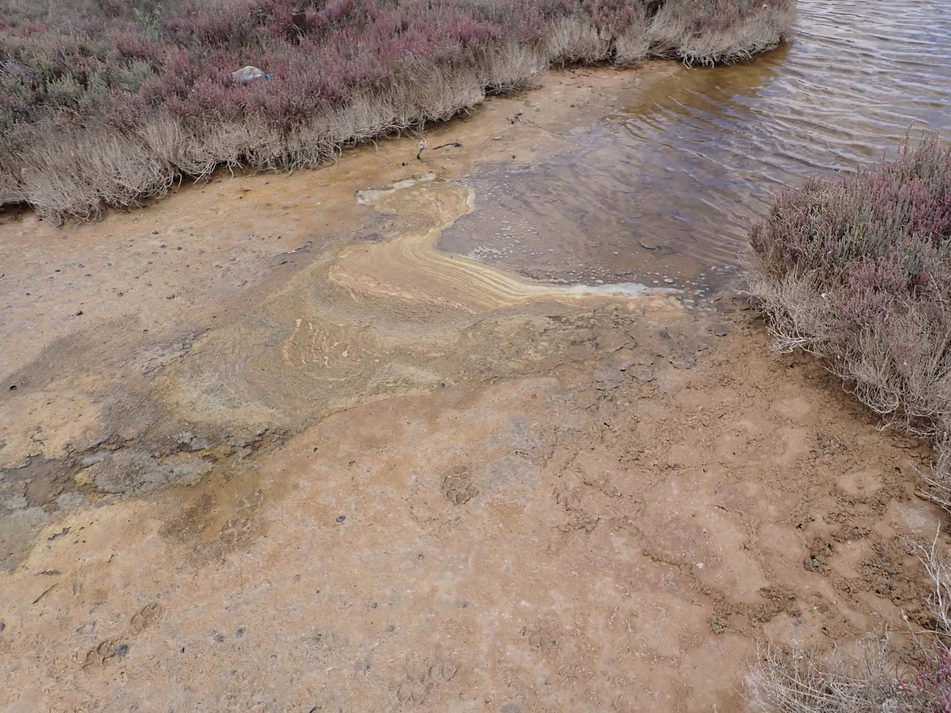 Quaternary Deposits 3