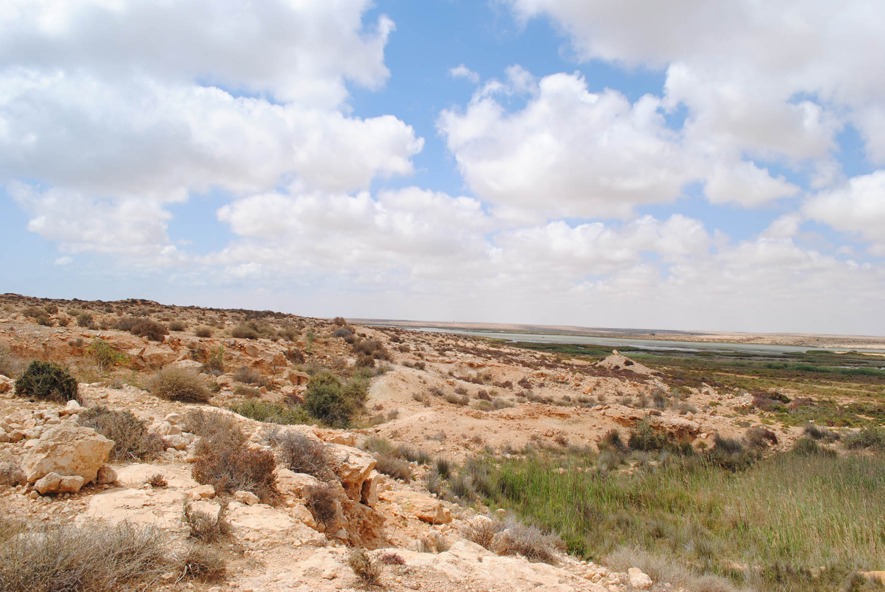 Rocky Hills 1