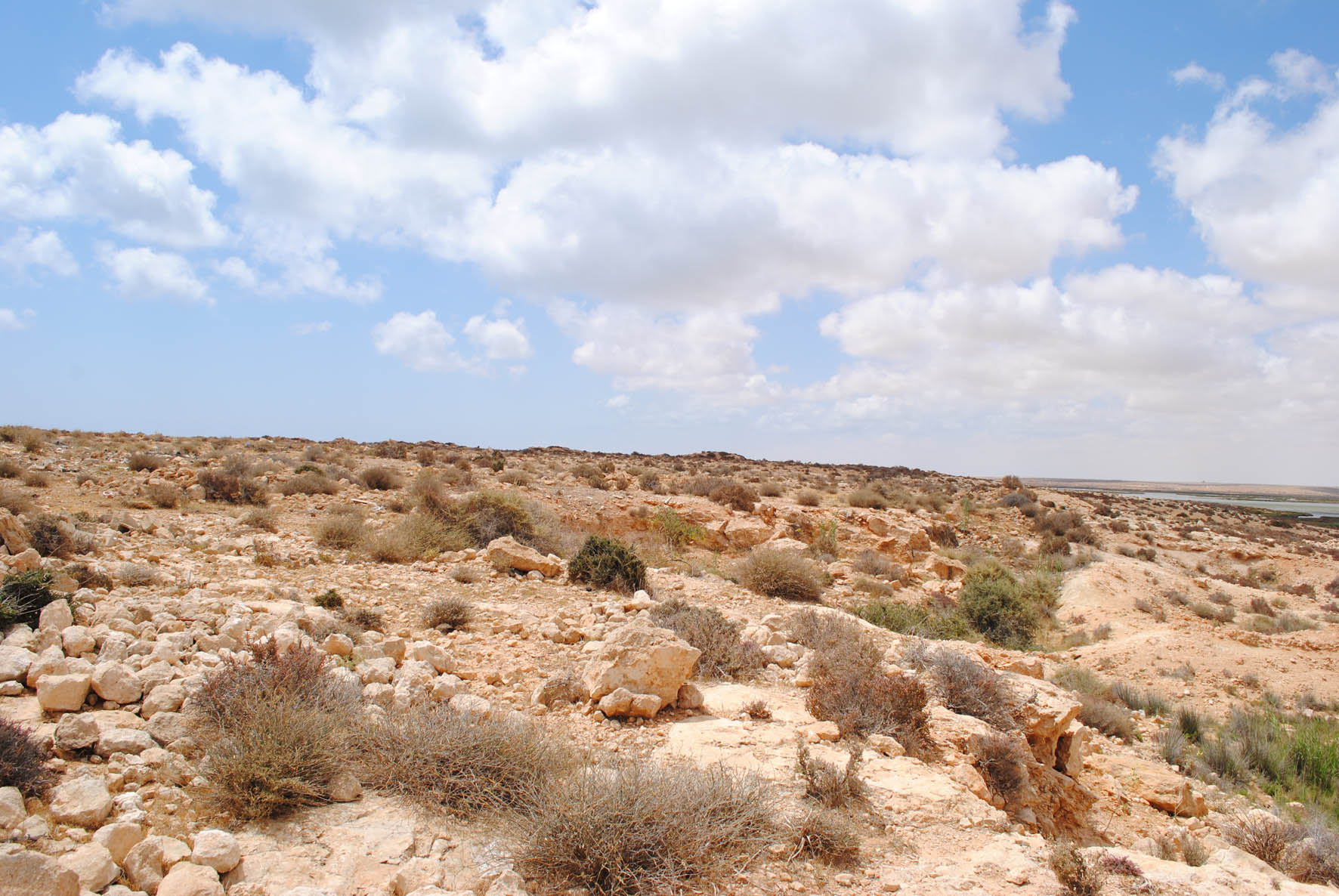 Rocky Hills 4