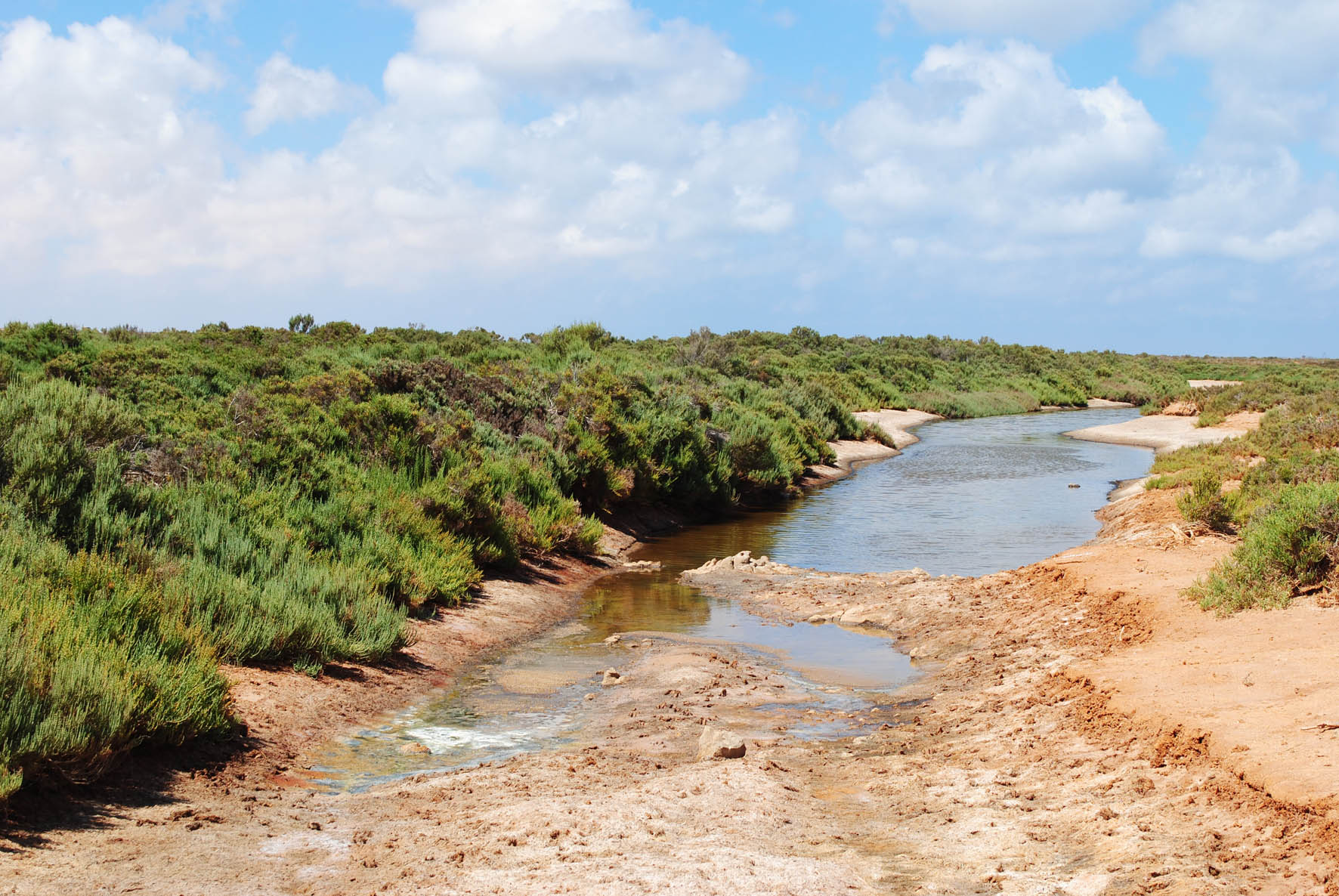 Saline Water Ponds 1