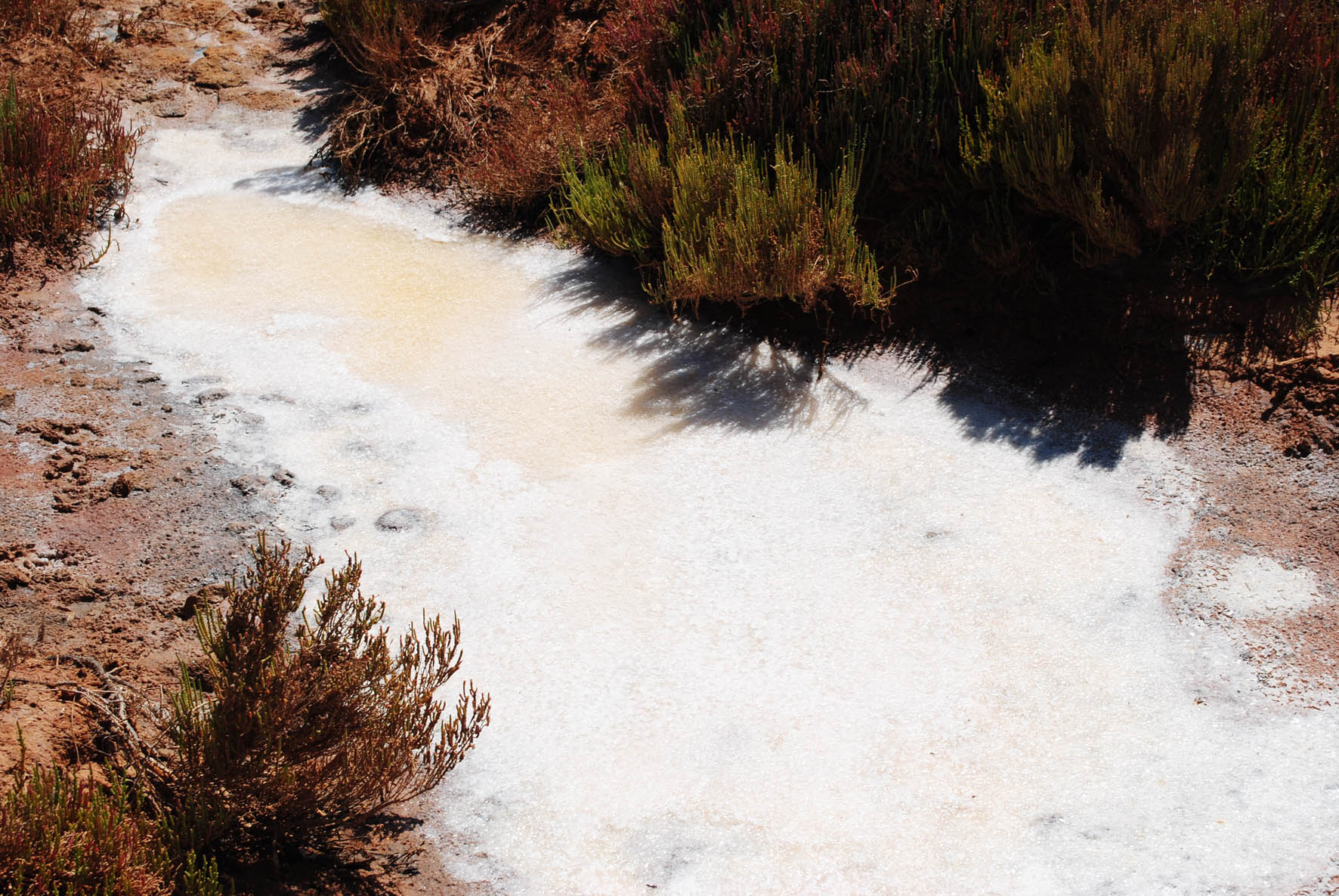 Saline Water Ponds 2