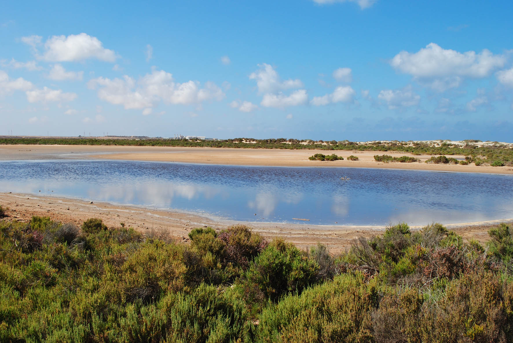 Saline Water Ponds 4