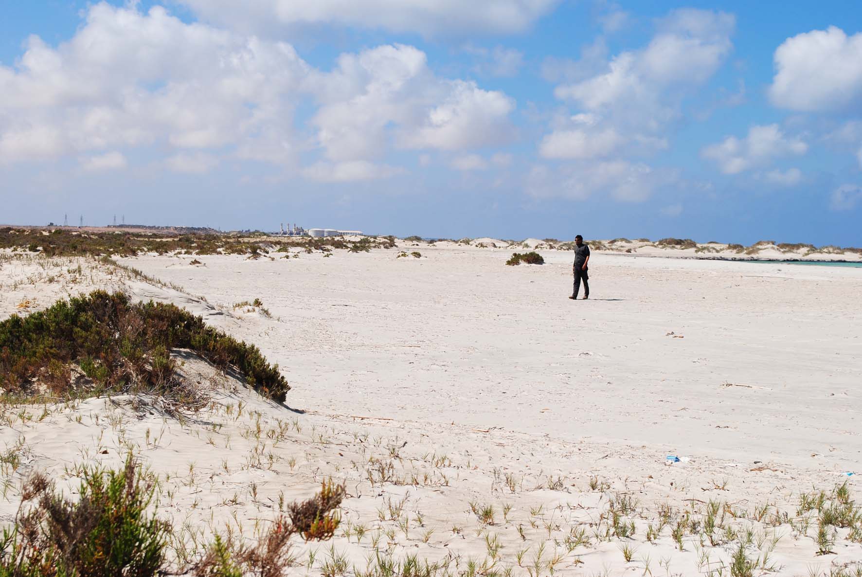 Sand Beach 4