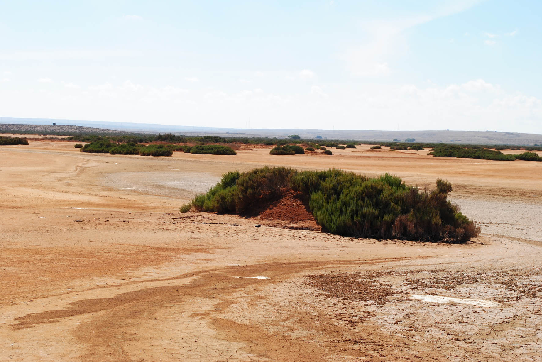 Tidal Plain 1