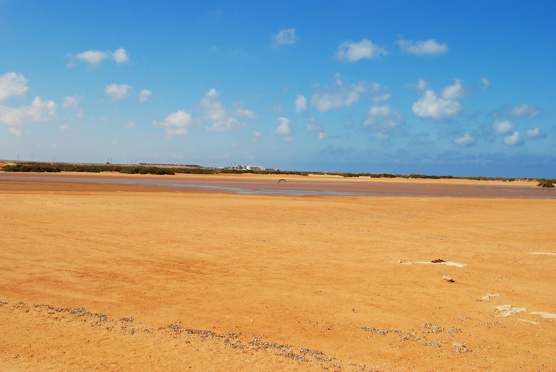Tidal Plain 2