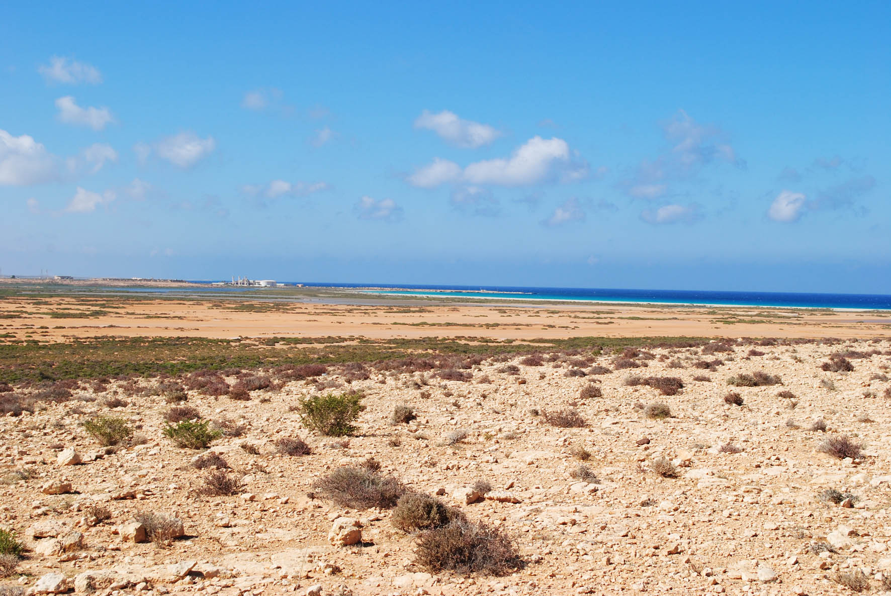 Tidal Plain 3