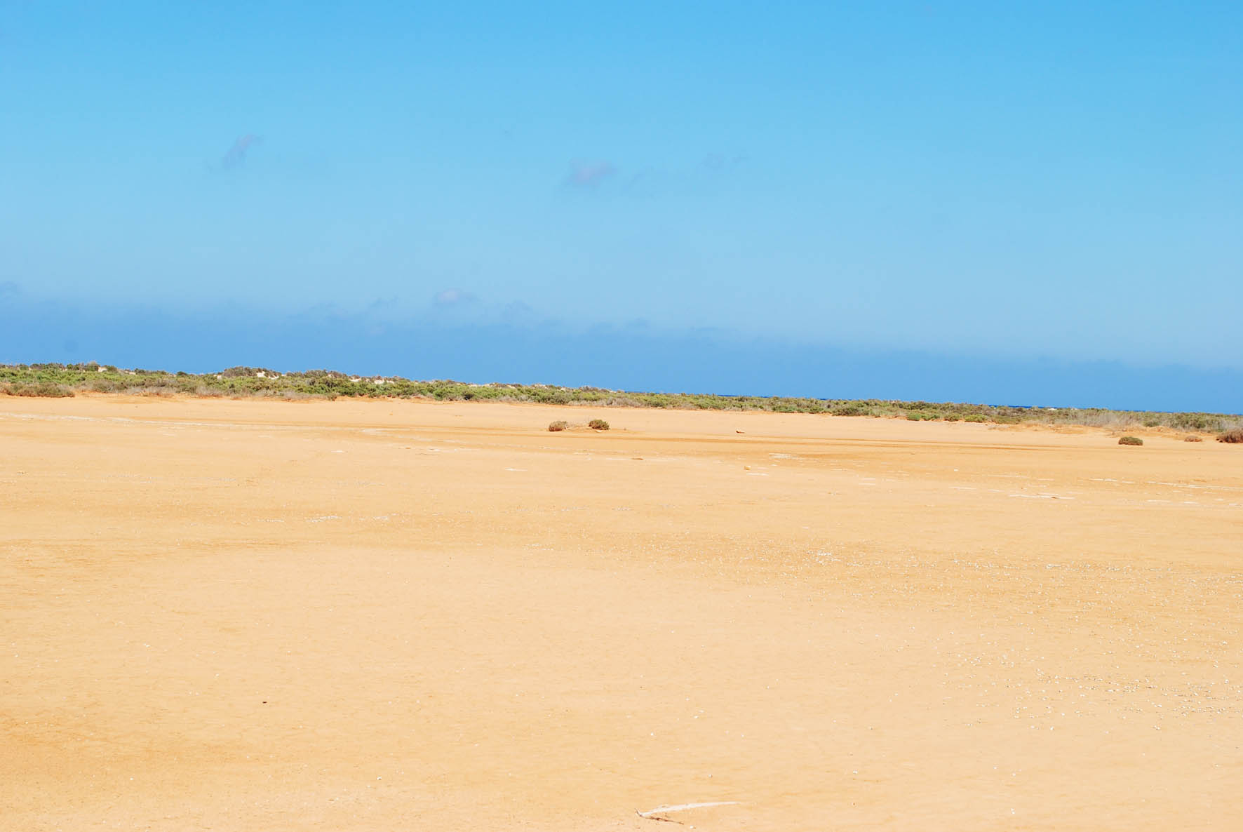 Tidal Plain 4