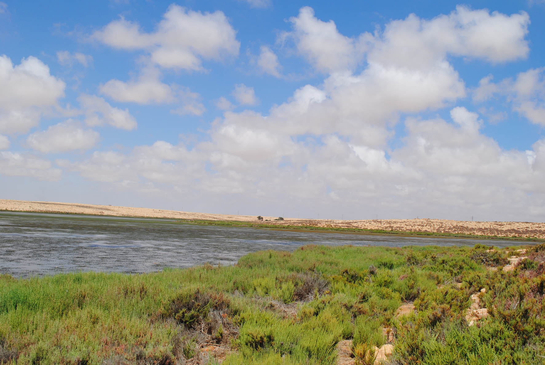 Umm Al Gramme Lake 1