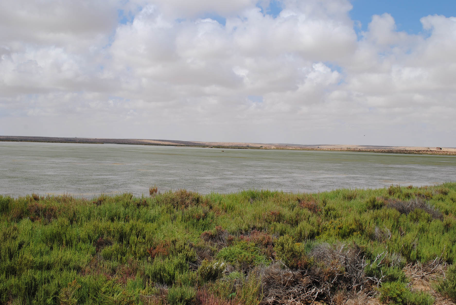 Umm Al Gramme Lake 2