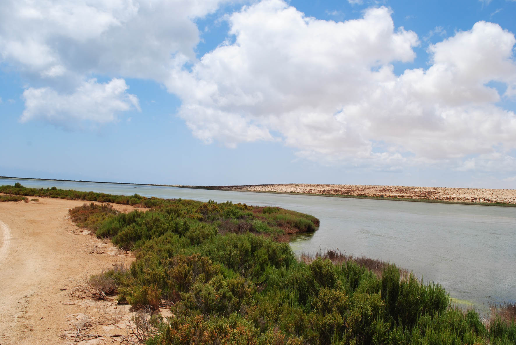 Umm Al Gramme Lake 1