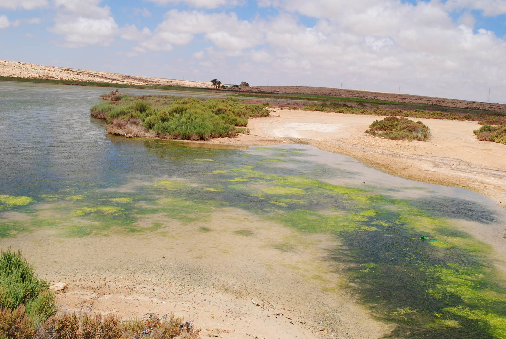 Umm Al Gramme Lake 2