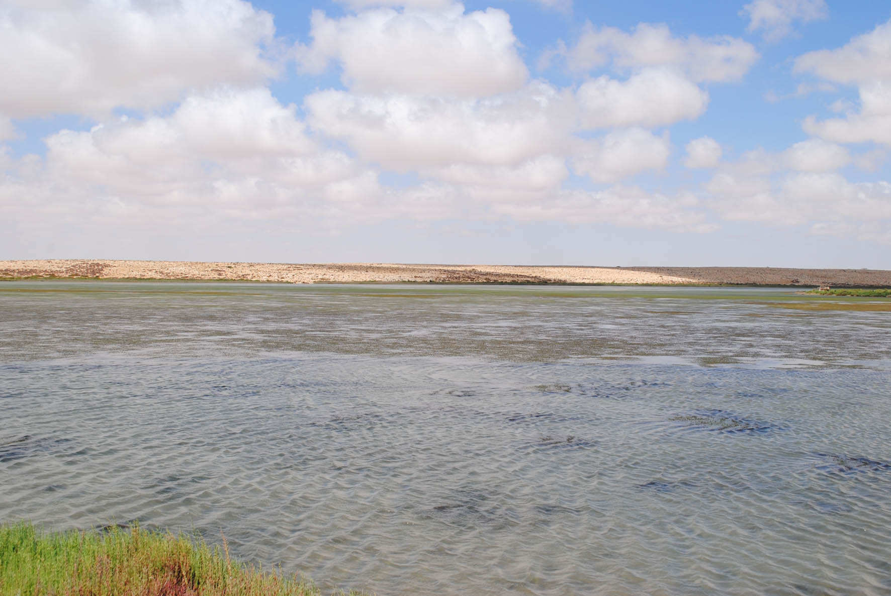 Umm Al Gramme Lake 4