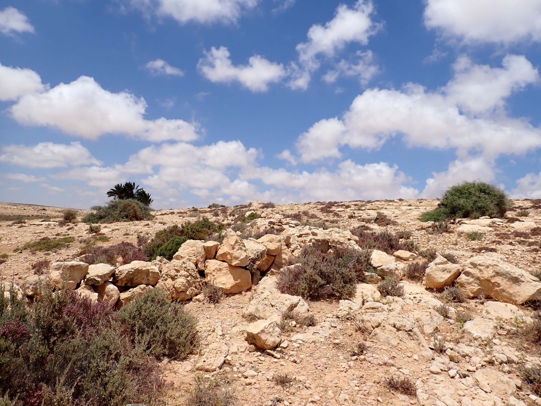 Upper Oligocene-Lower Miocene 1