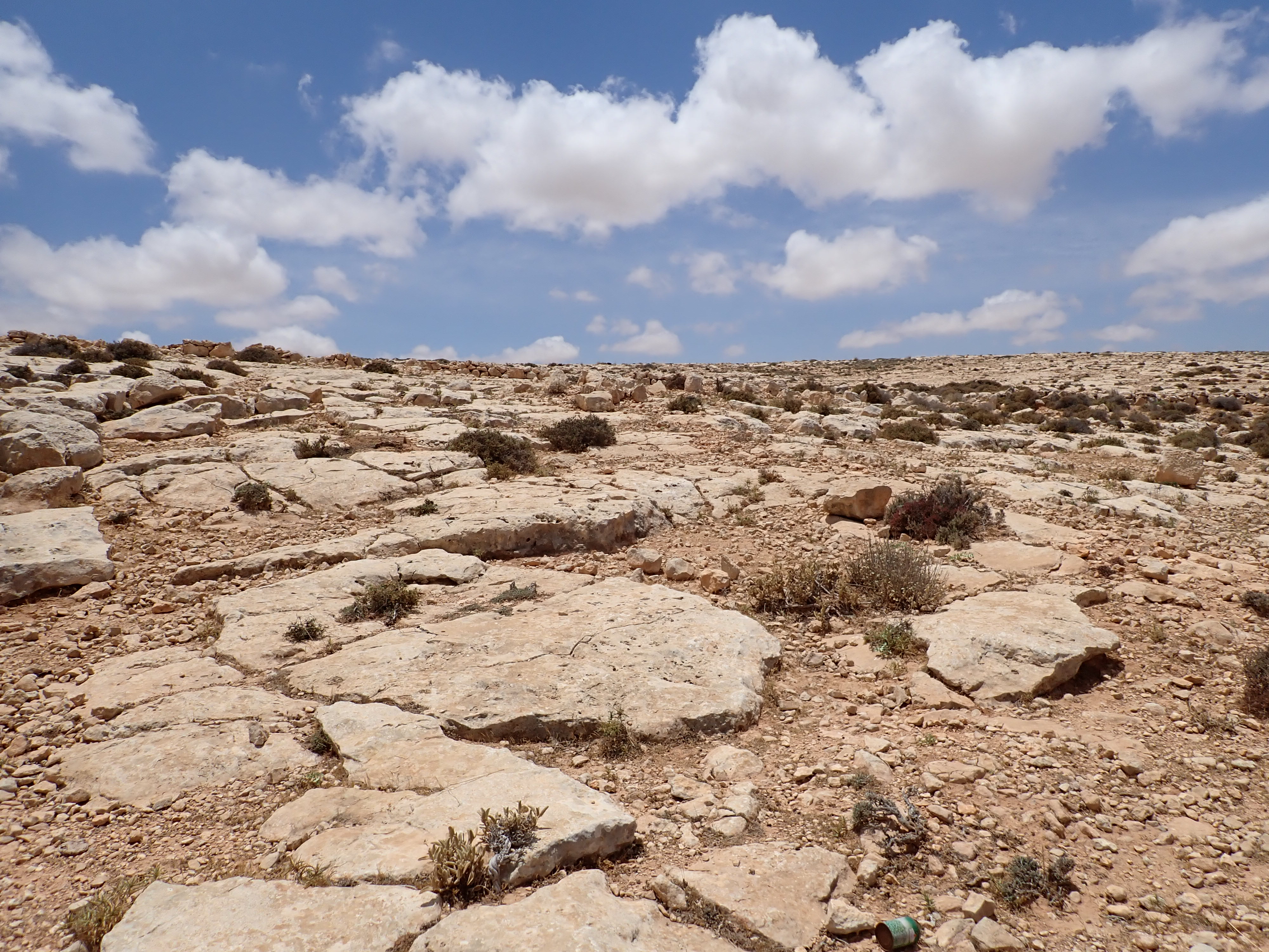 Upper Oligocene-Lower Miocene 2
