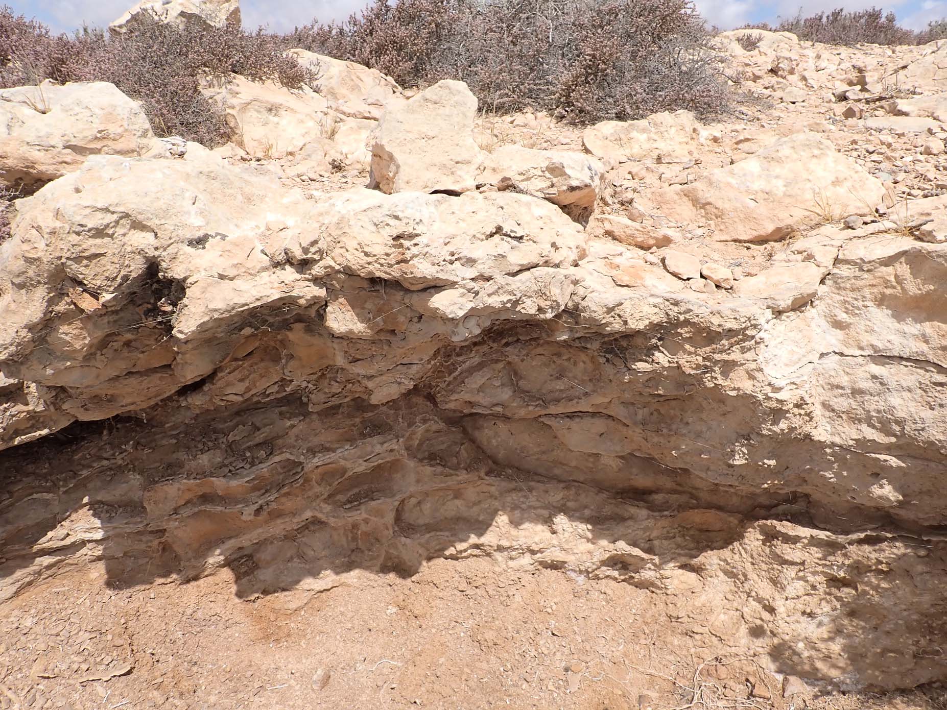Upper Oligocene-Lower Miocene 3