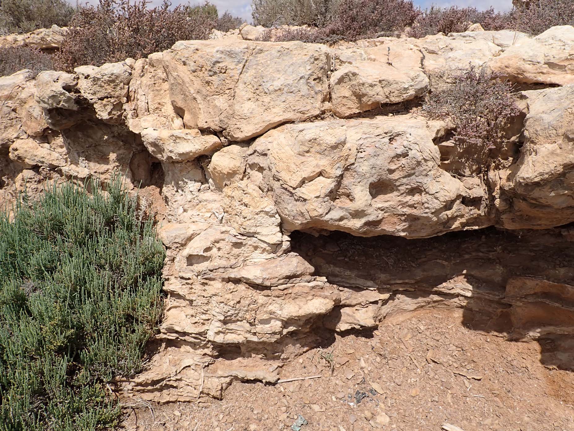 Upper Oligocene-Lower Miocene 4